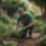 Volunteer gardening in a lush community garden