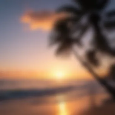 Serene Sunrise by the Ocean Sunrise over calm ocean with silhouette of palm trees