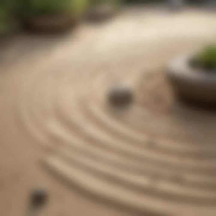 Zen Garden with Raked Sand